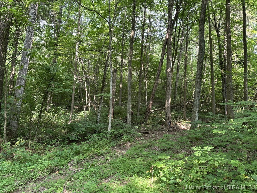 2900 Walker Road Northeast Corydon, IN 47112 - Photo 73 of 76