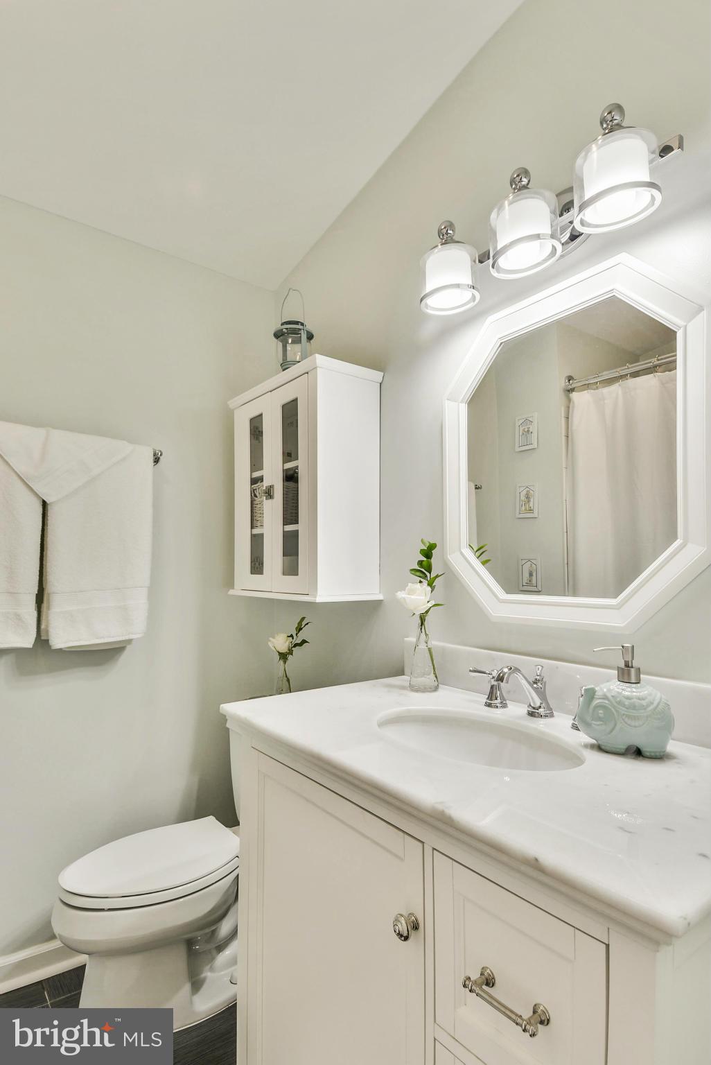 117 Bluff Terrace Silver Spring, MD 20902 - Photo 22 of 30 Hall Bath Upper 1