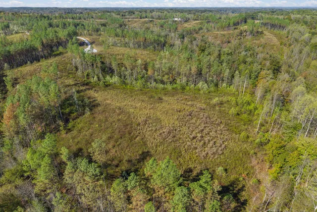 a view of a tennis court