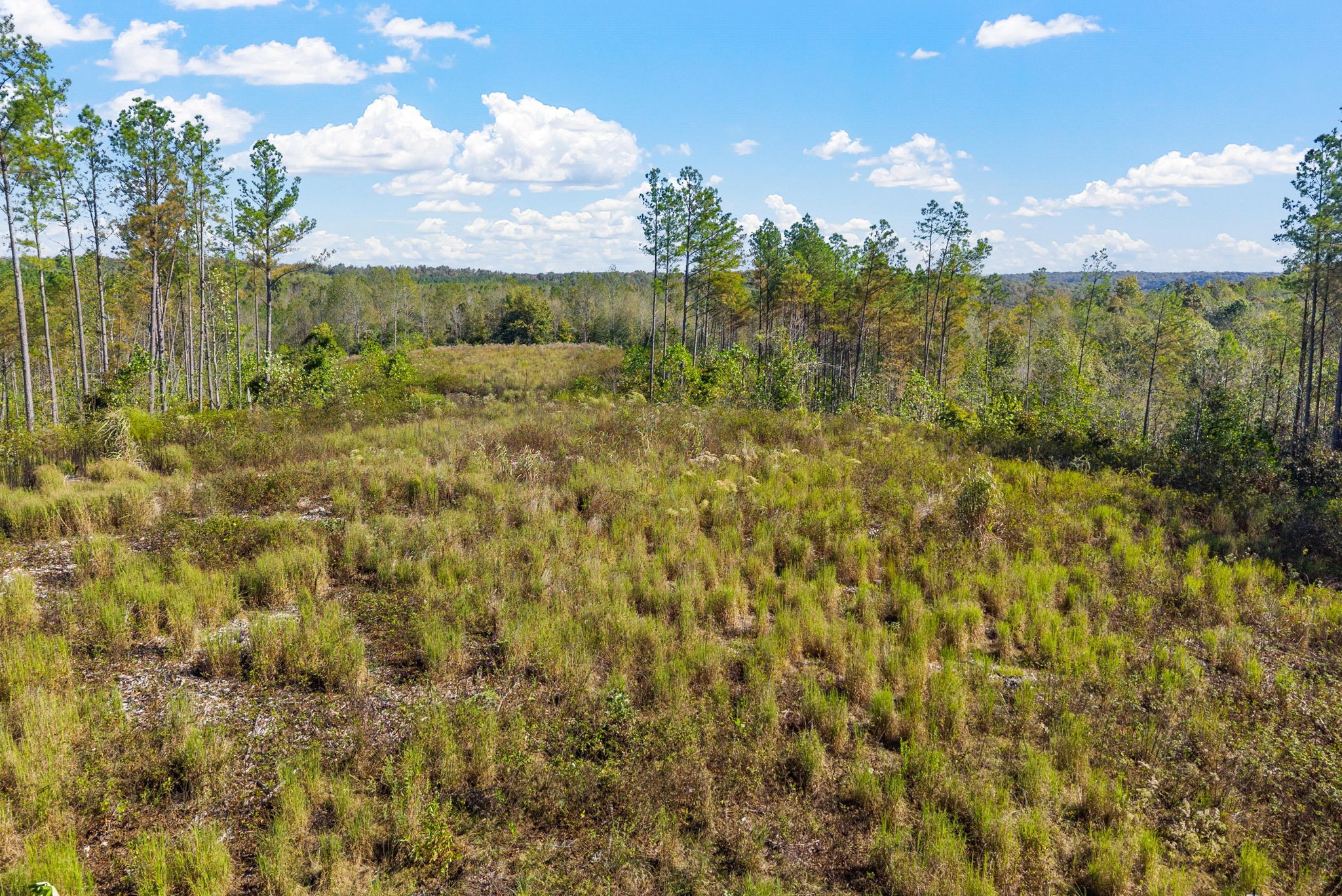 0 Sagebrush Way Dover, TN 37058 - Photo 12 of 24 a view of a bunch of trees and houses