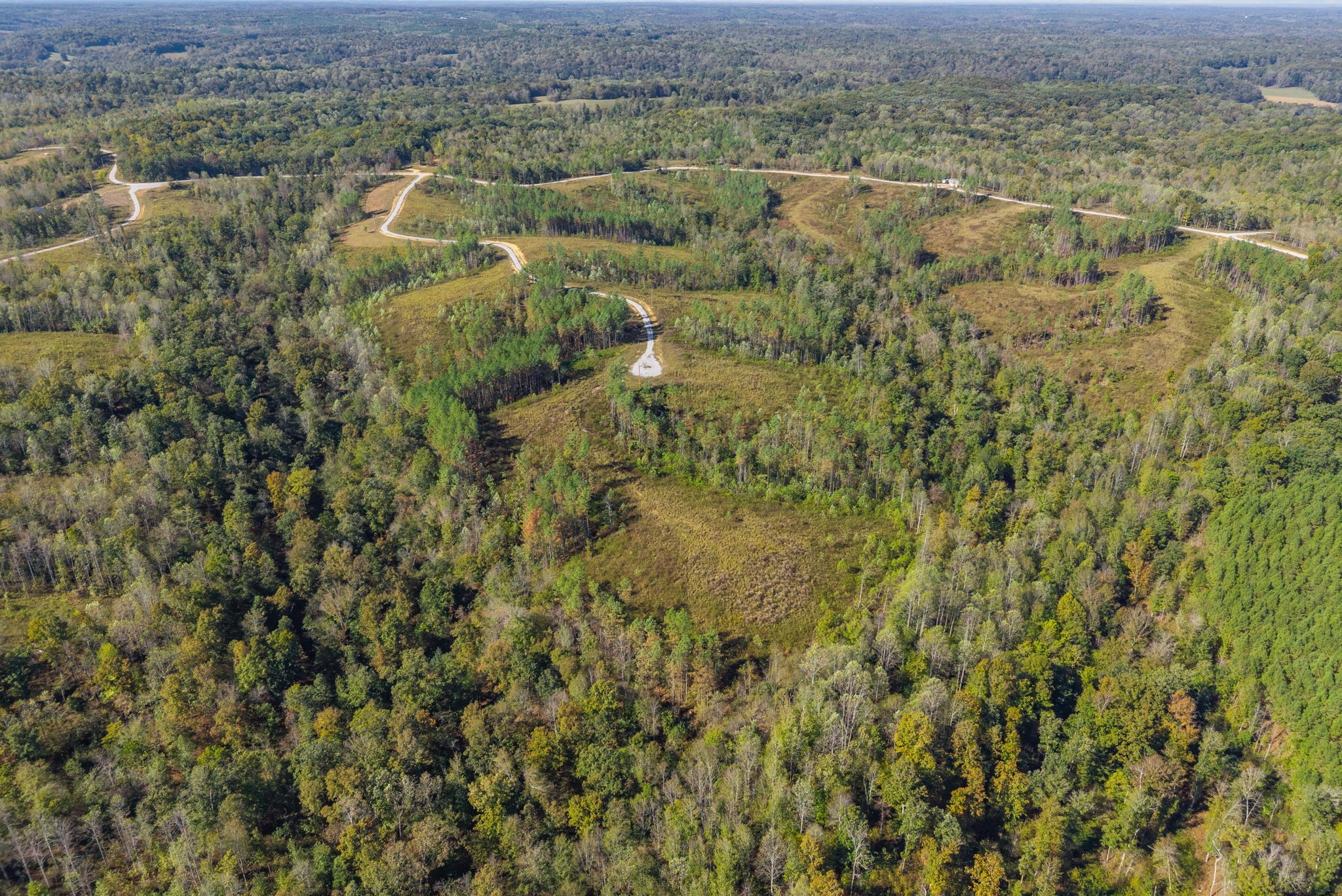 0 Sagebrush Way Dover, TN 37058 - Photo 14 of 24 a view of a field with trees in the background