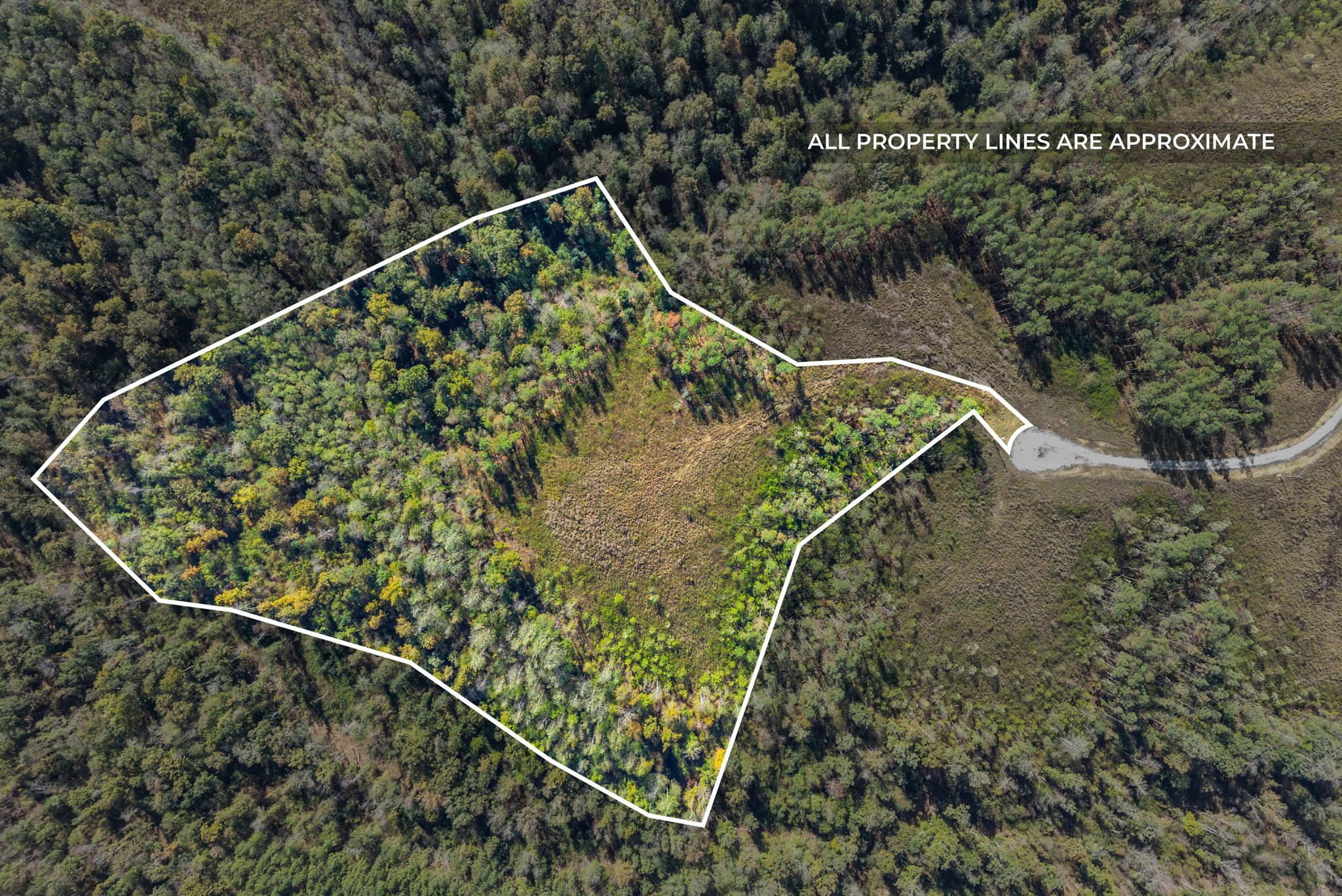 0 Sagebrush Way Dover, TN 37058 - Photo 2 of 24 a view of a tennis court