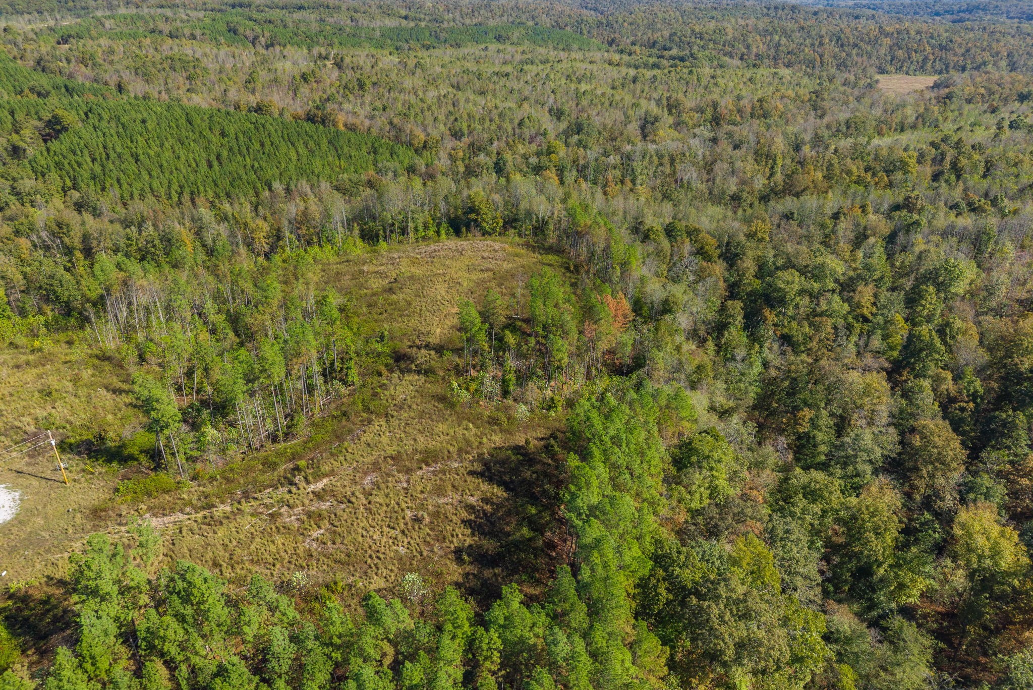 0 Sagebrush Way Dover, TN 37058 - Photo 21 of 24 a view of a field of grass and trees