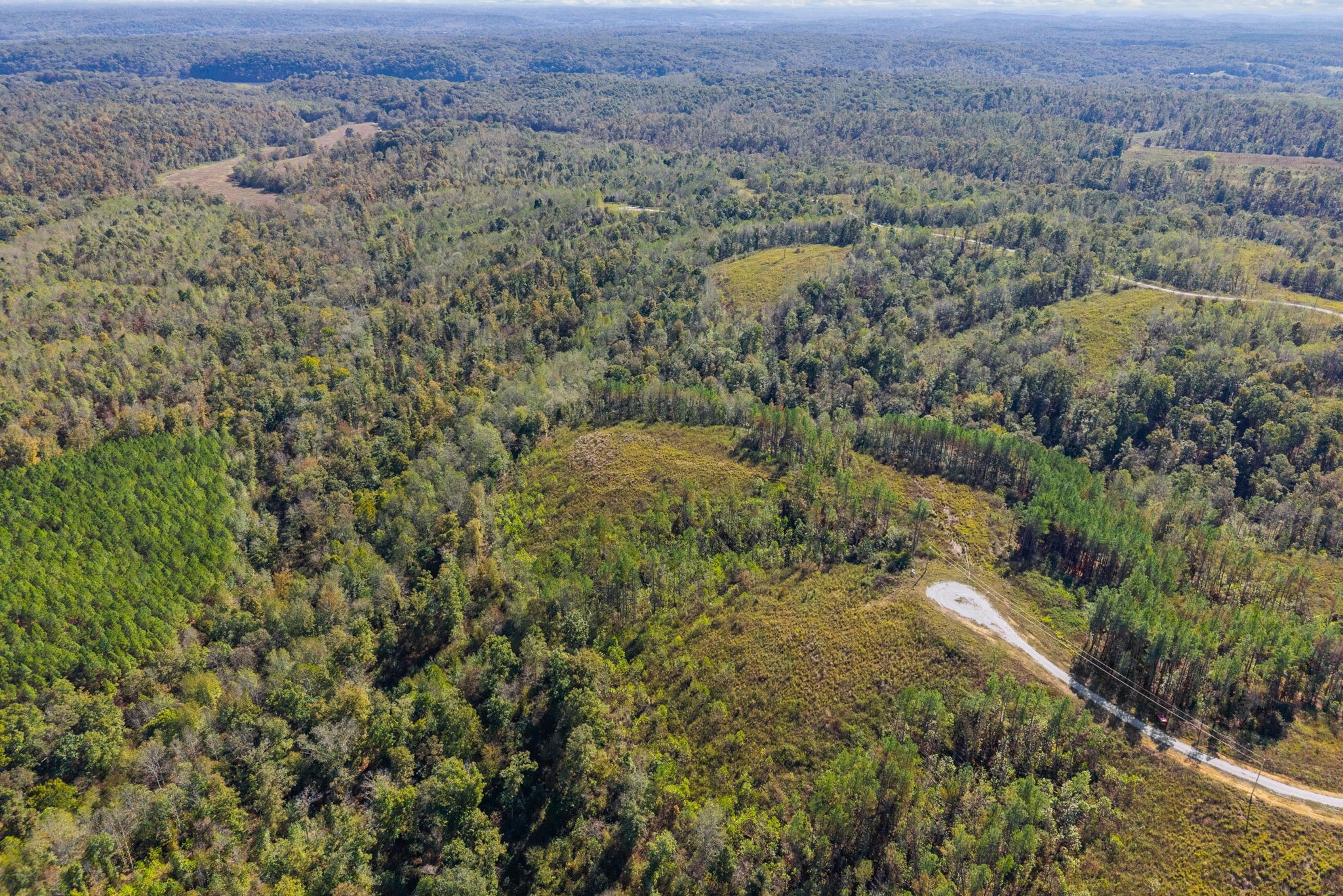 0 Sagebrush Way Dover, TN 37058 - Photo 22 of 24 an aerial view of forest