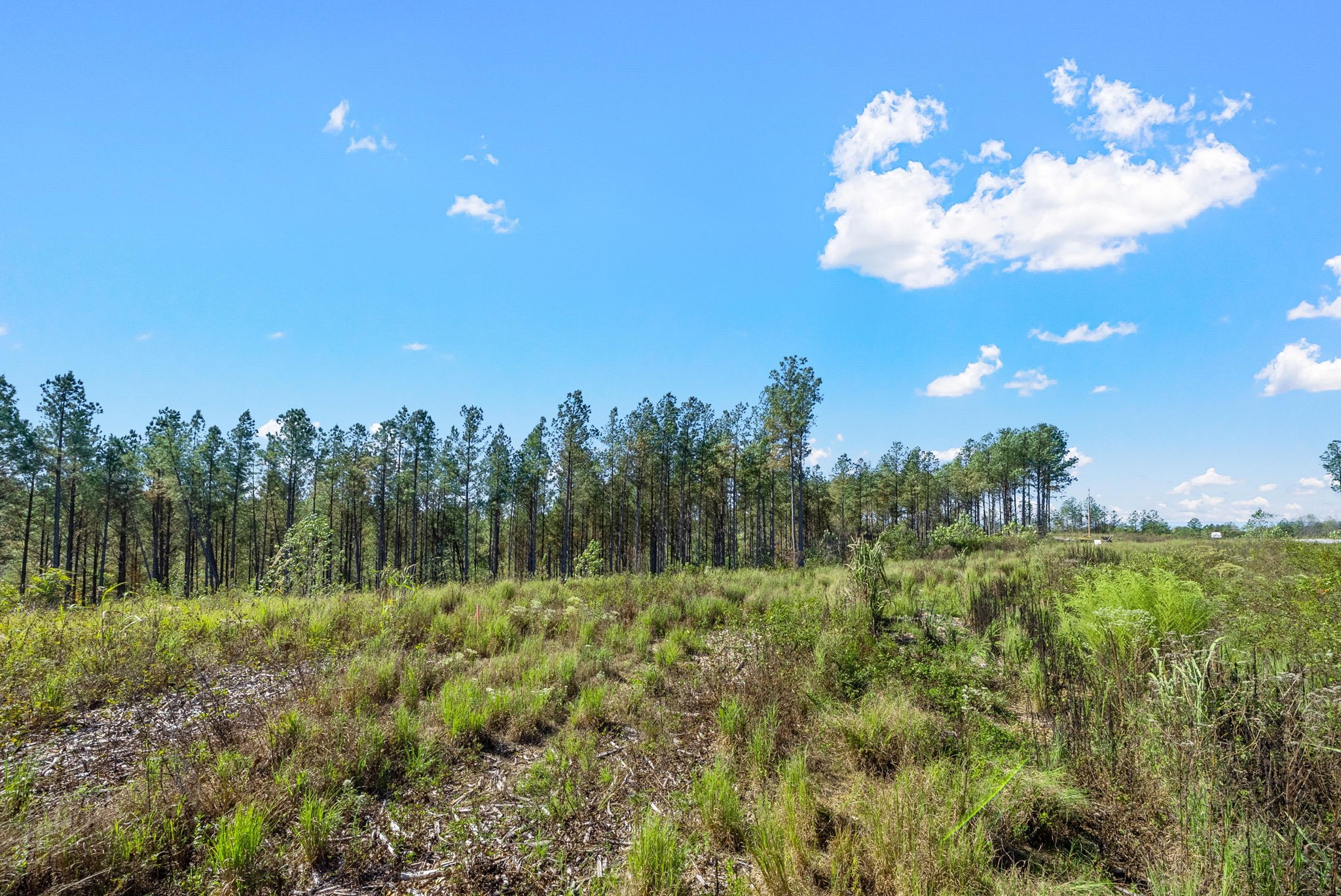 0 Sagebrush Way Dover, TN 37058 - Photo 6 of 24 a view of a city with lush green forest