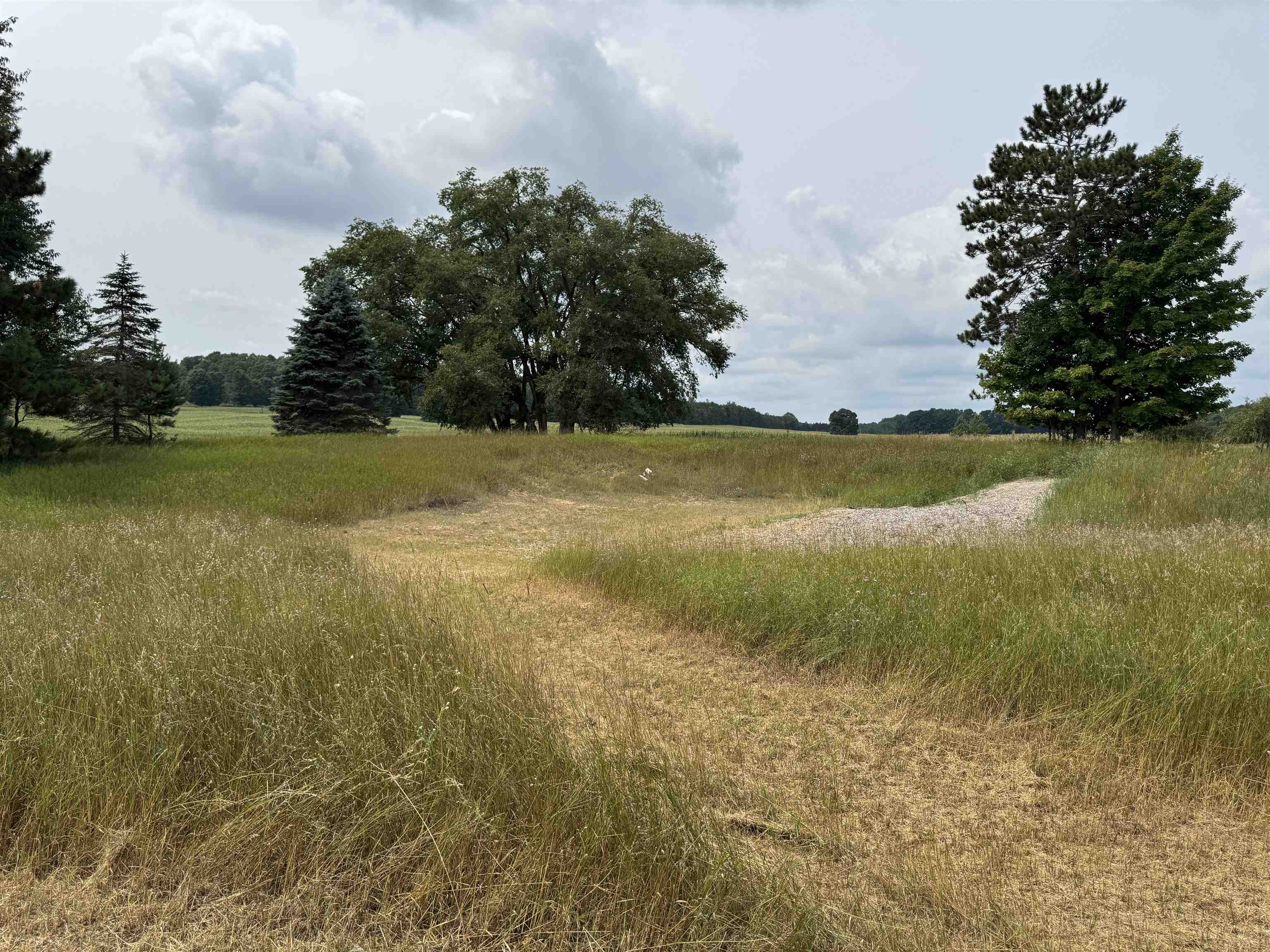 22015 Benton Road Copemish, MI 49625 - Photo 60 of 65 1949341-44d3ef5f-b62a-4bb6-9613-89fe8d26cf4d.JPG