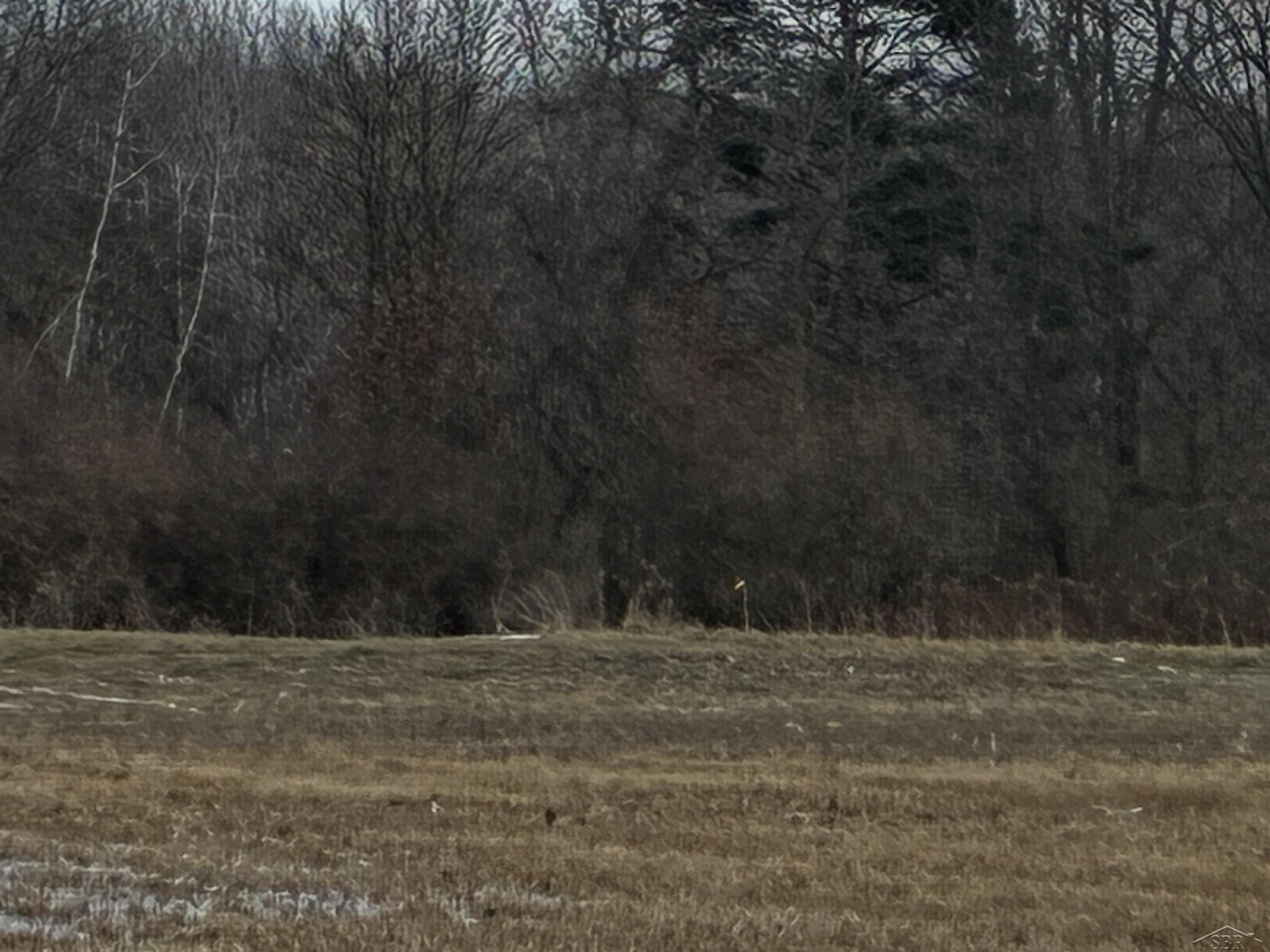 12964 Sheridan Road Burt, MI 48417 - Photo 4 of 12
