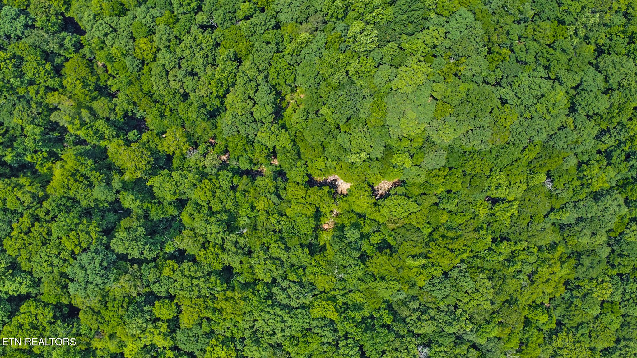 3205 Apache Road Jamestown, TN 38556 - Photo 35 of 38