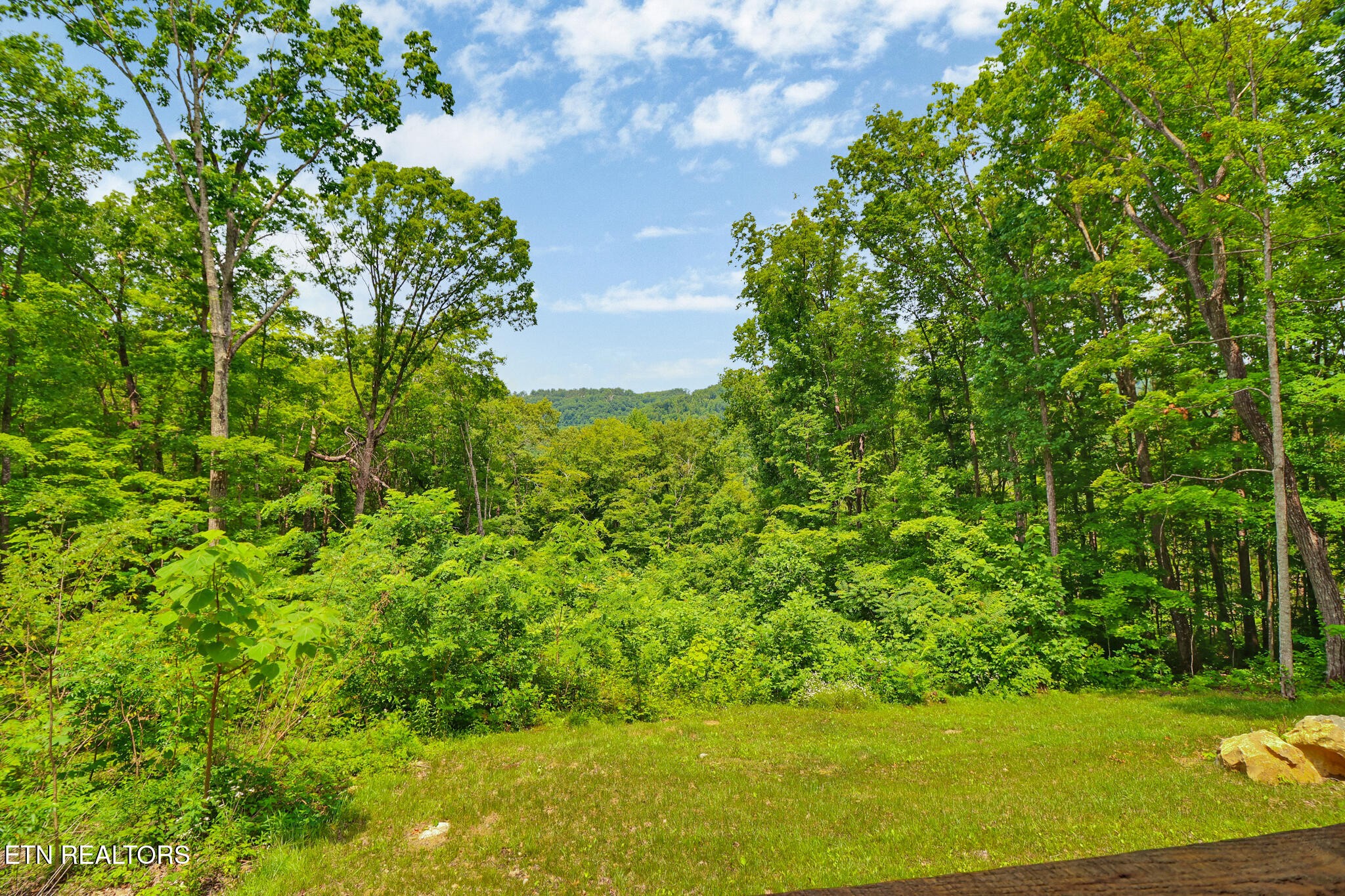 3205 Apache Road Jamestown, TN 38556 - Photo 10 of 38