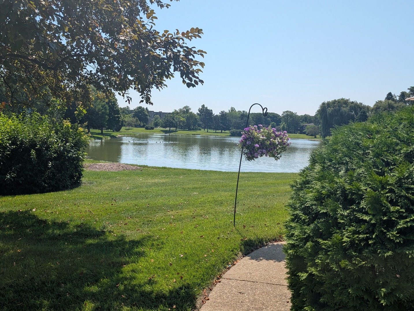 779 Pahl Road, Unit 779 Elk Grove Village, IL 60007 - Photo 2 of 24
