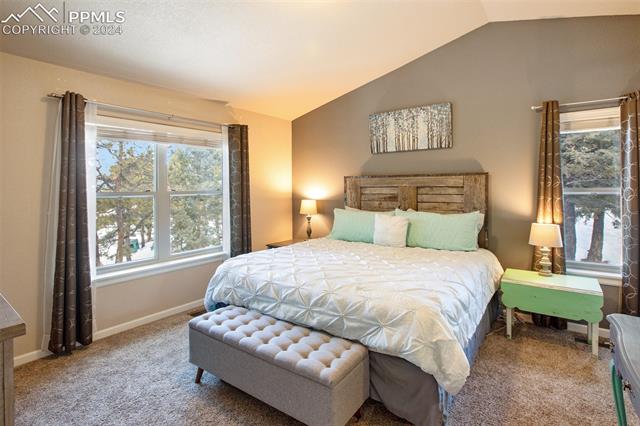 31 Wahsatch Road Florissant, CO 80816 - Photo 18 of 46 Main level master bedroom with vaulted ceilings