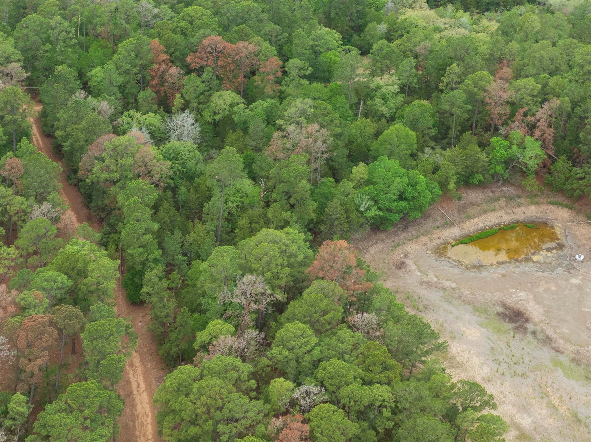 Tbd Red Fox Road La Grange, TX 78945 - Photo 5 of 9