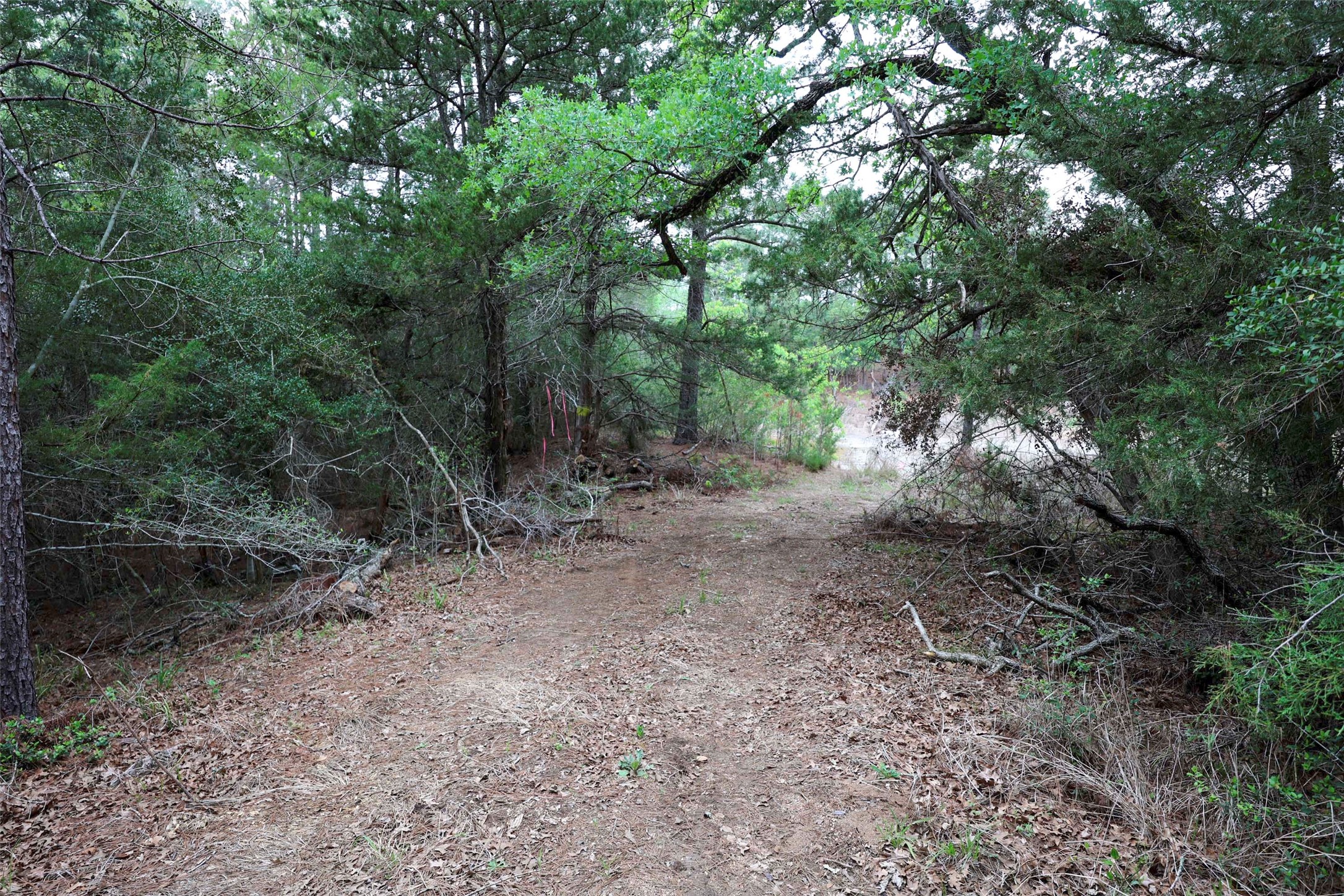 Tbd Red Fox Road La Grange, TX 78945 - Photo 6 of 9