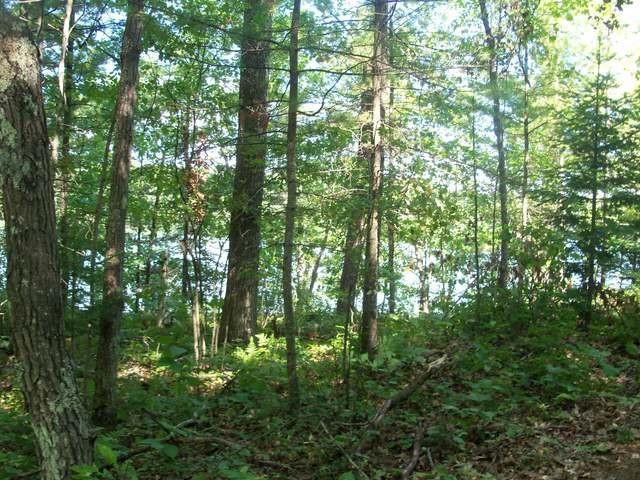 On Rux Road Woodruff, WI 54568 - Photo 1 of 6 Gallery Image 1