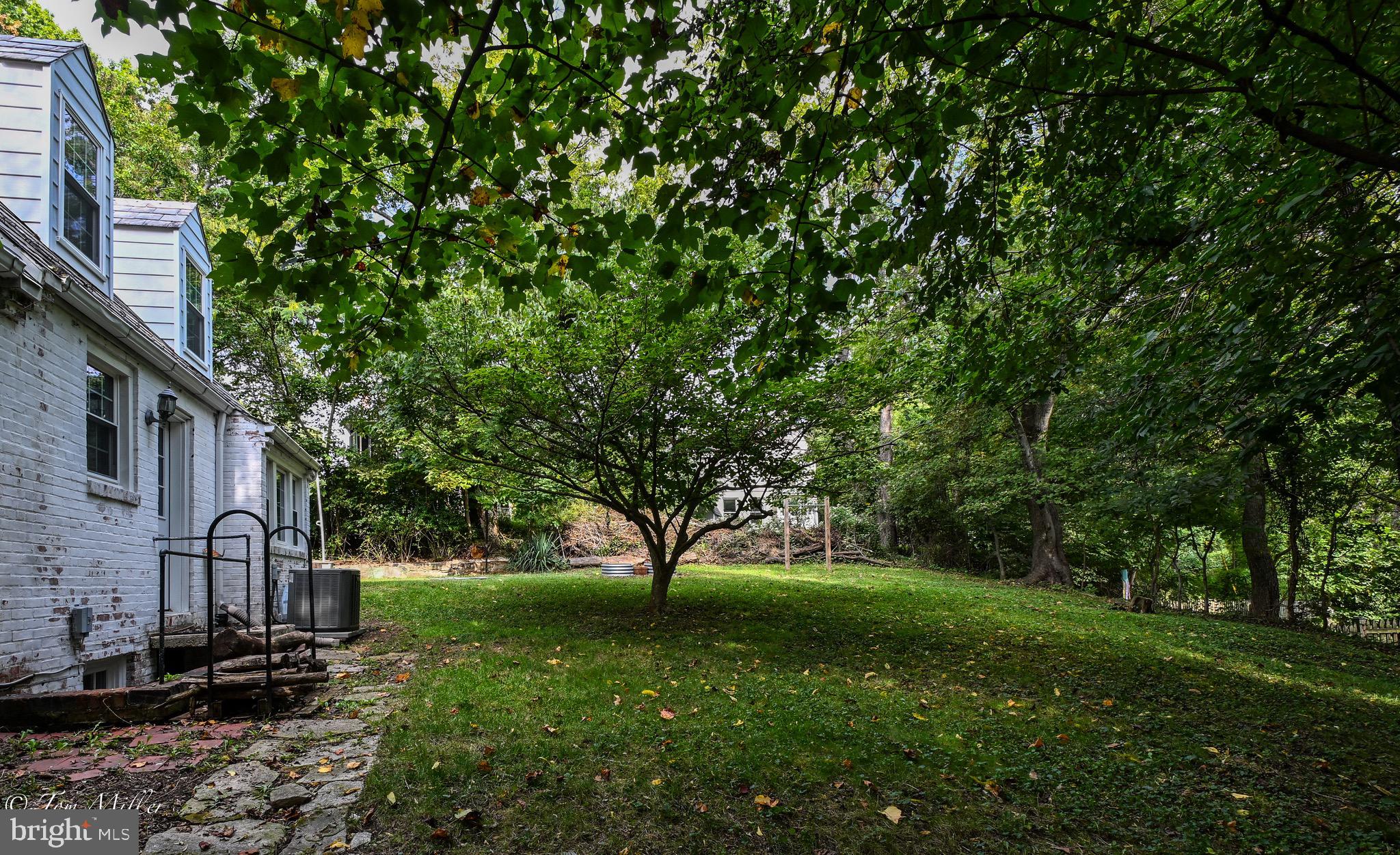 5815 Lochlea Road Baltimore, MD 21209 - Photo 36 of 40 a view of backyard with large trees
