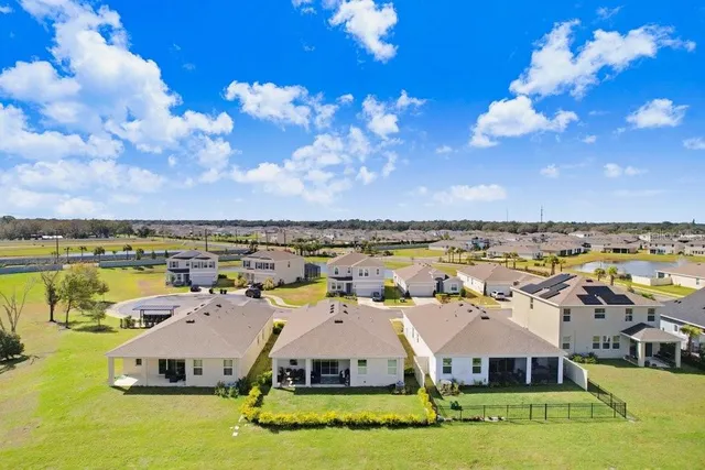 a view of a field with a tree