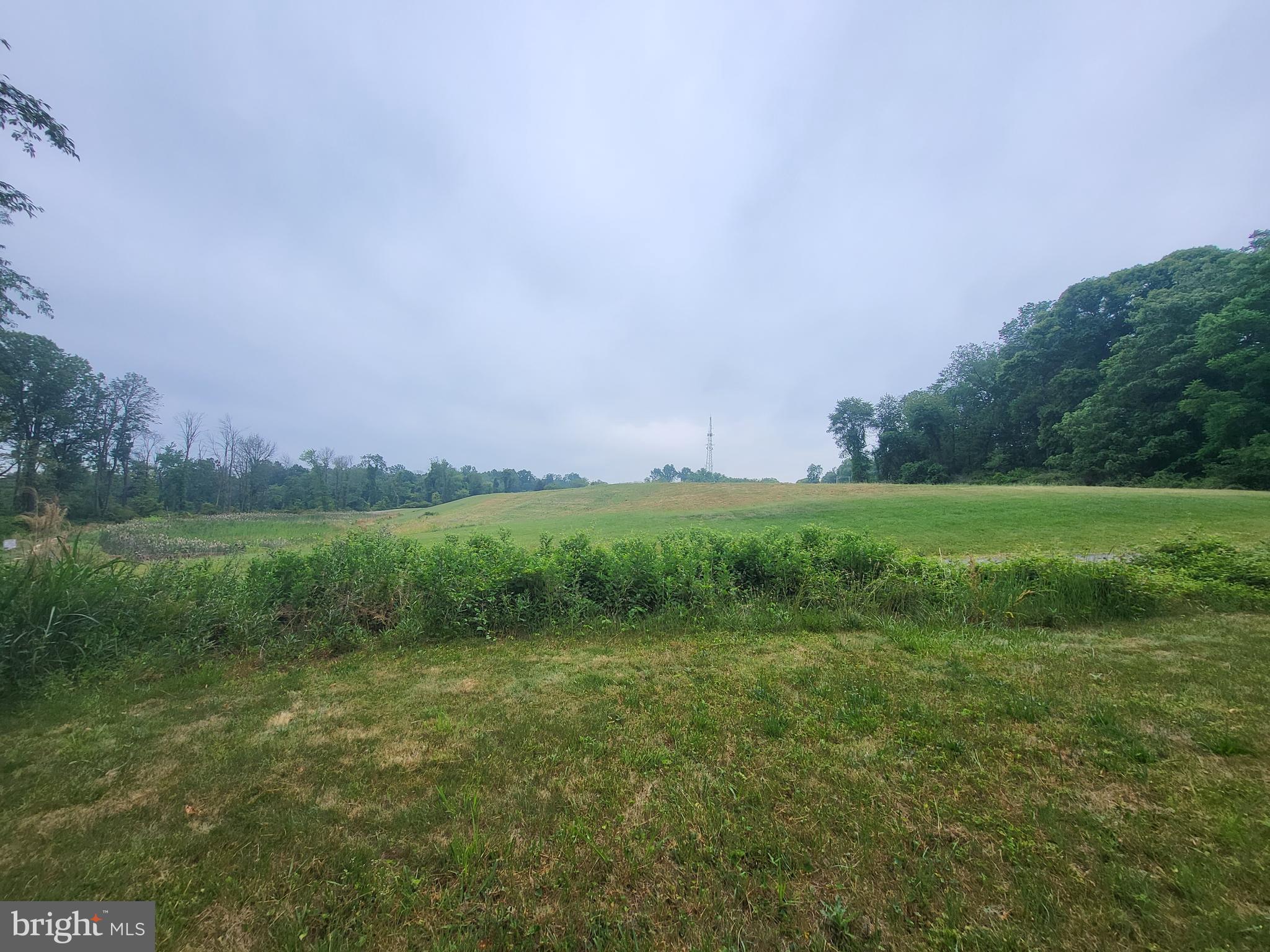 690 West Rose Tree Road Media, PA 19063 - Photo 15 of 15 View of the neighboring open space