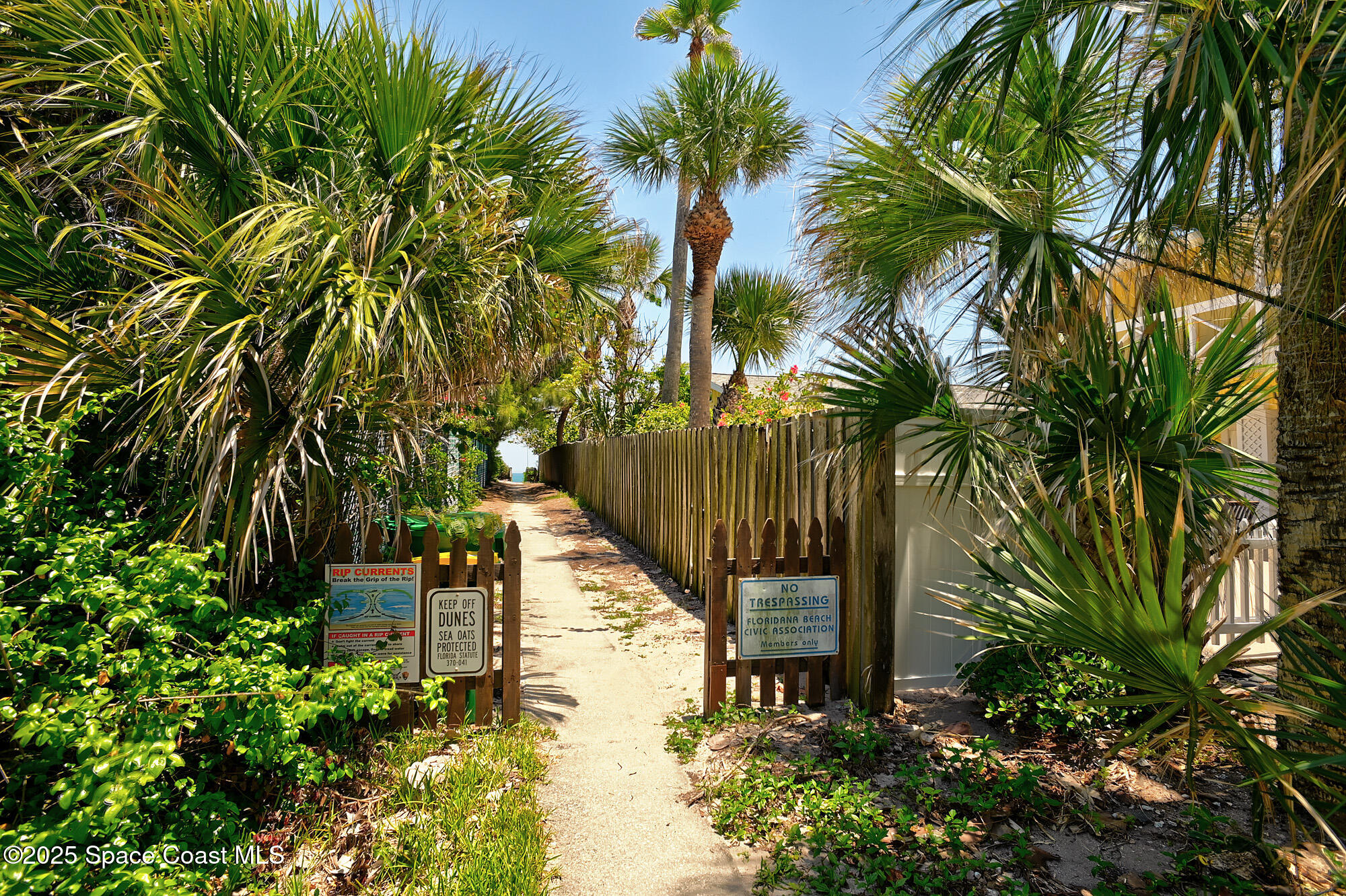 103 Matanzas Road Melbourne Beach, FL 32951 - Photo 35 of 37 a view of a garden with a palm tree
