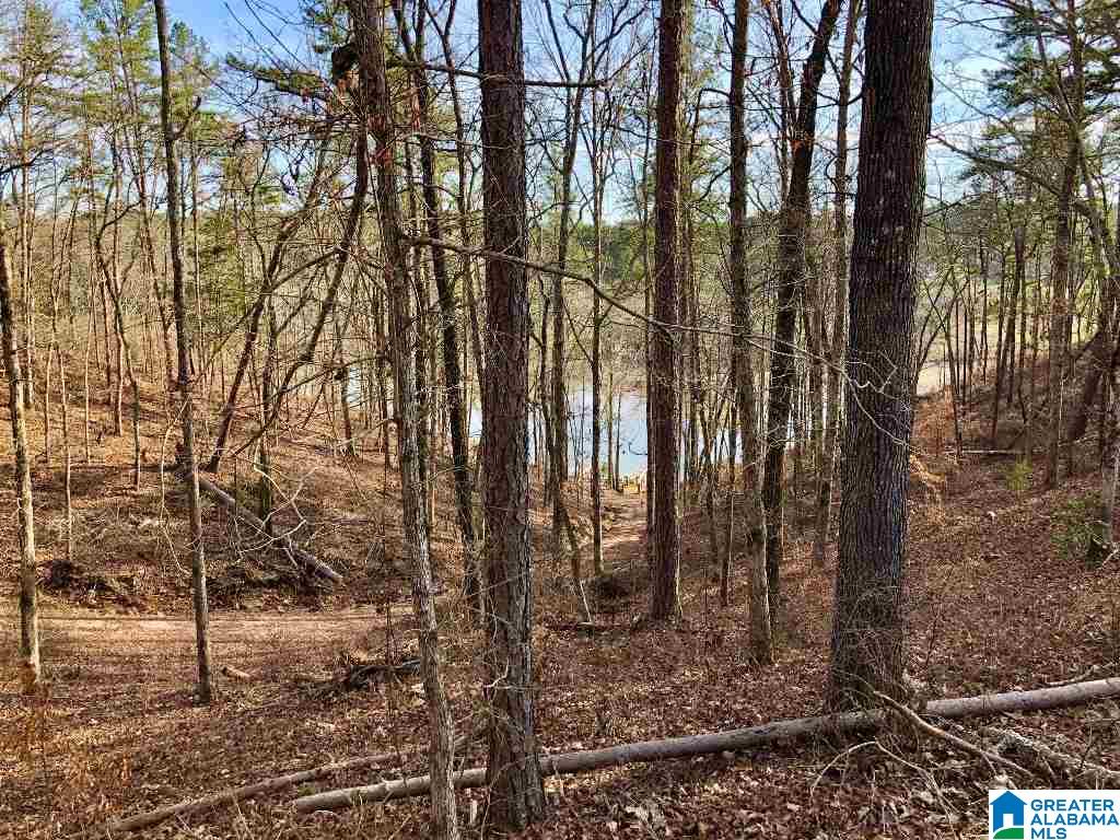 Rock Creek Road, Unit 11 Wedowee, AL 36278 - Photo 1 of 5