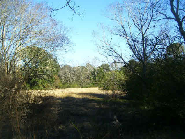 20252 State Highway 181 Fairhope, AL 36532 - Photo 1 of 1