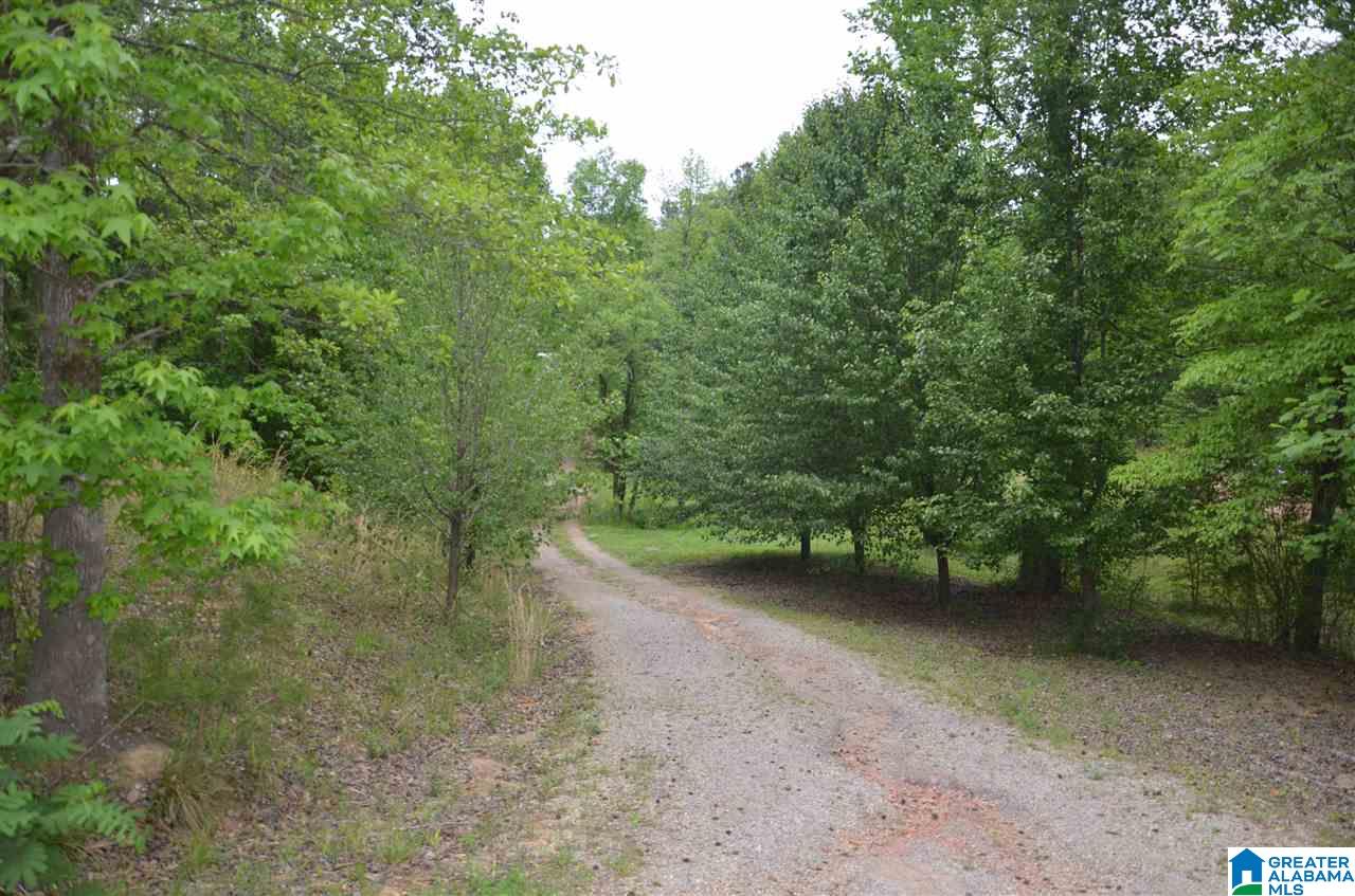 5081 Bluff Creek Ridge Adamsville, AL 35005 - Photo 26 of 28