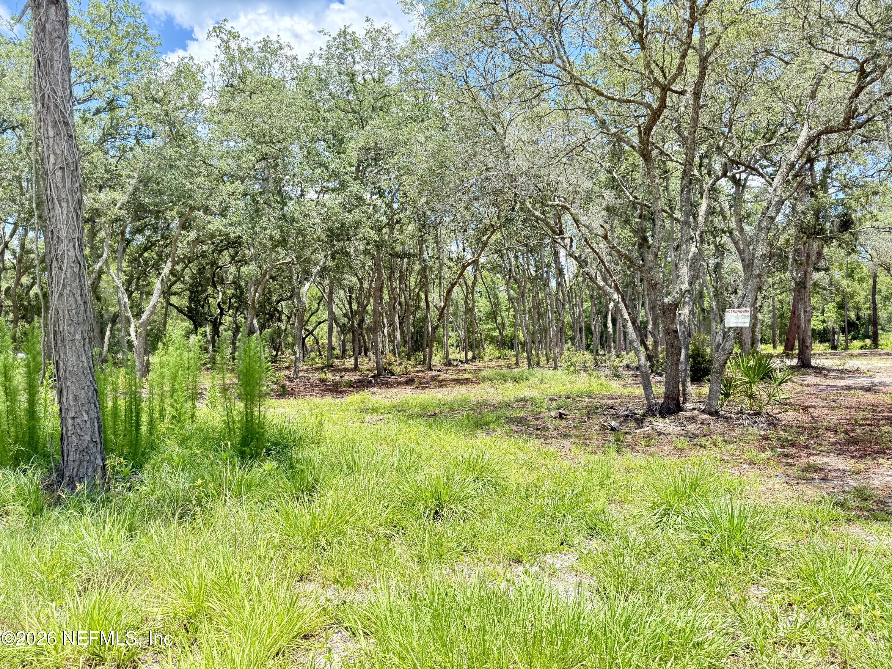 438 Chamberlain Road Satsuma, FL 32189 - Photo 1 of 21 IMG_2953