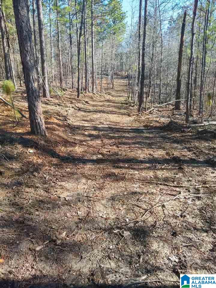 Wolf Pond Road, Unit 36 Talladega, AL 35160 - Photo 4 of 7