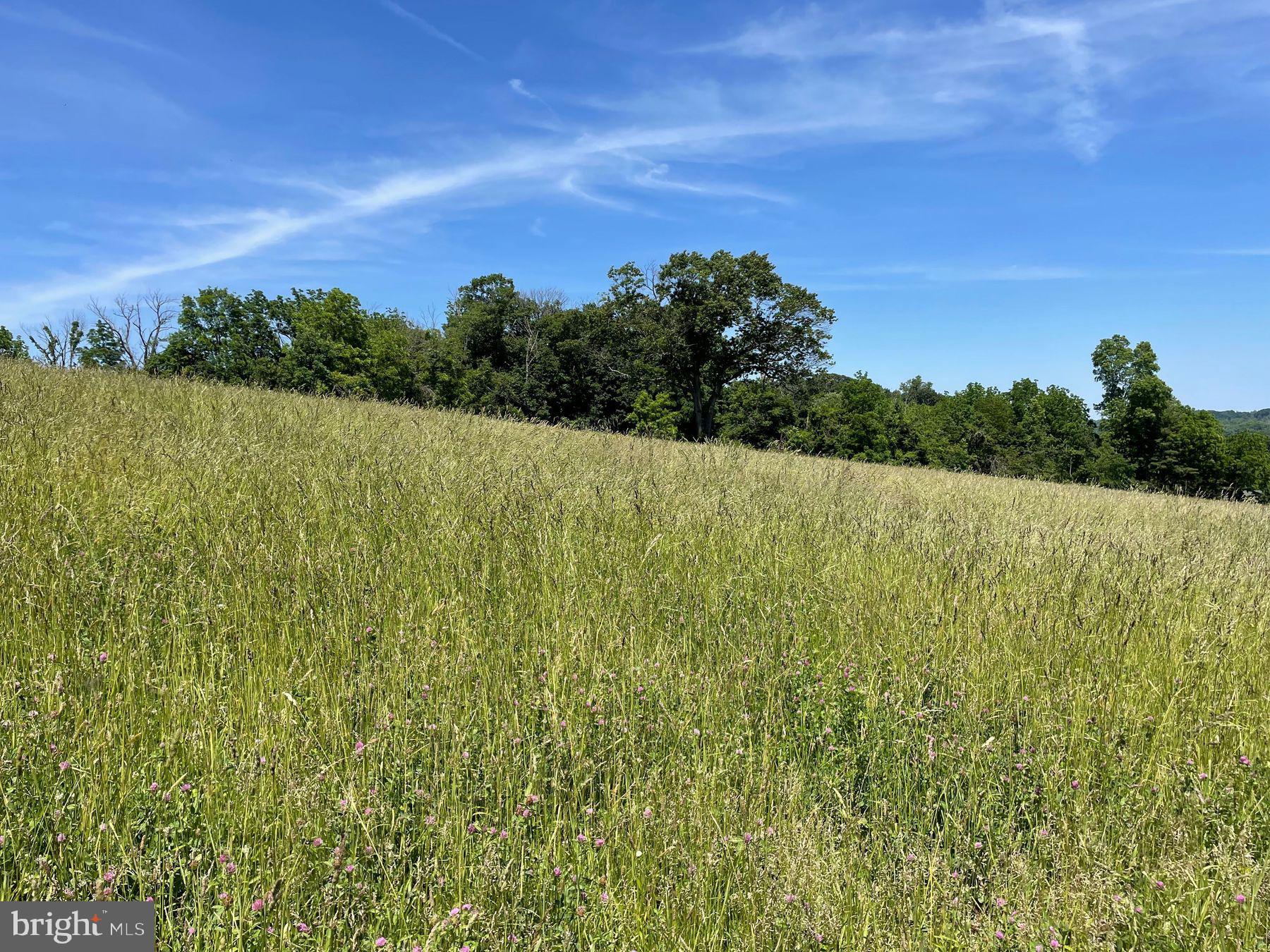 Lot 1 Curly Hill Road Doylestown, PA 18902 - Photo 19 of 40 a view of a field with an ocean