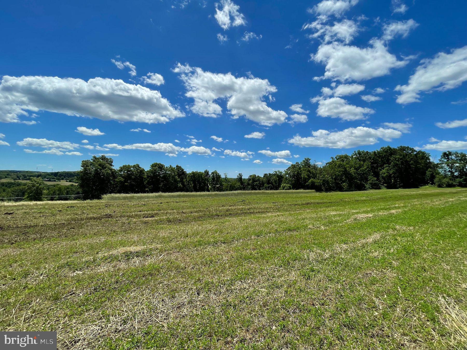 Lot 1 Curly Hill Road Doylestown, PA 18902 - Photo 22 of 40 a view of an outdoor space and yard