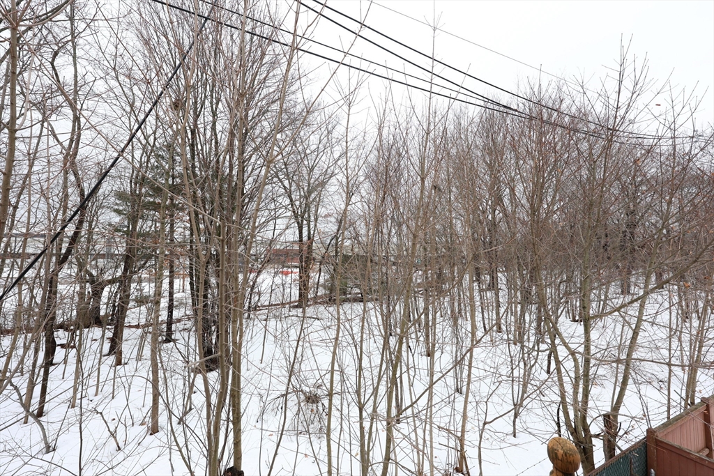 65 Clifford Street, Unit 2 Boston, MA 02136 - Photo 25 of 27 a backyard of a house with lots of green space
