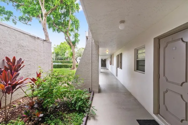 a view of a back yard with plants