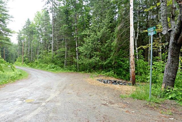 0 Lake Road Princeton, ME 04668 - Photo 17 of 23 Top Boundary of Lot