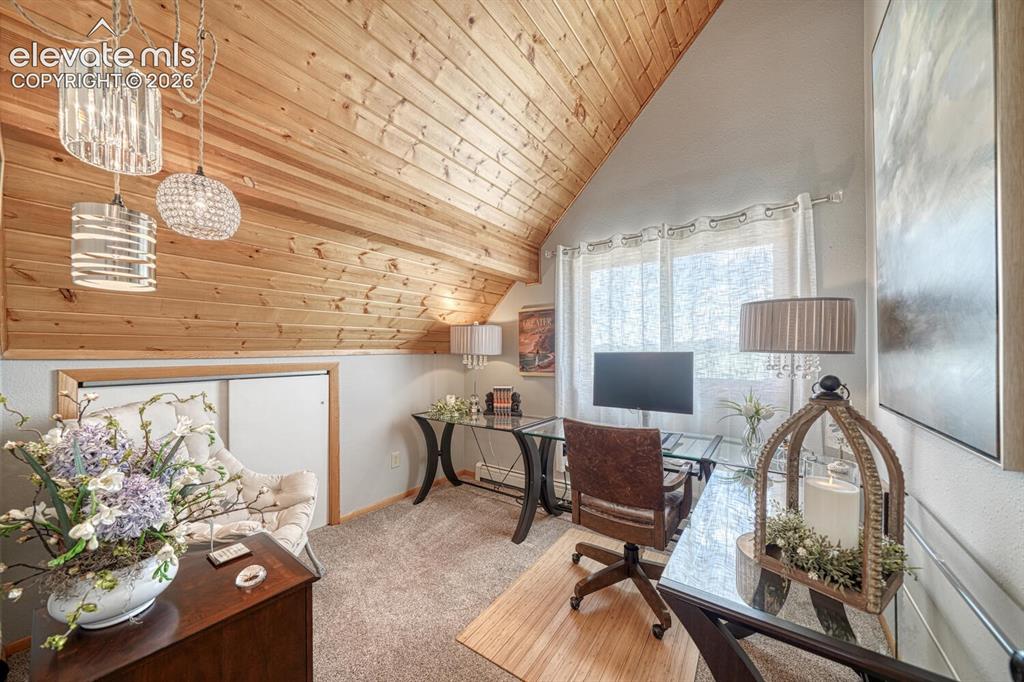 895 Acorn Road Cotopaxi, CO 81223 - Photo 19 of 50
