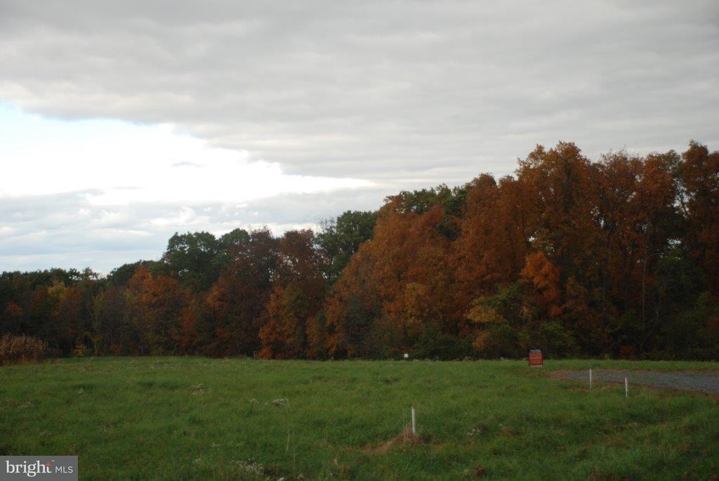 Lot 11 Airyview Road Shermans Dale, PA 17090 - Photo 1 of 2 Gallery Image 1
