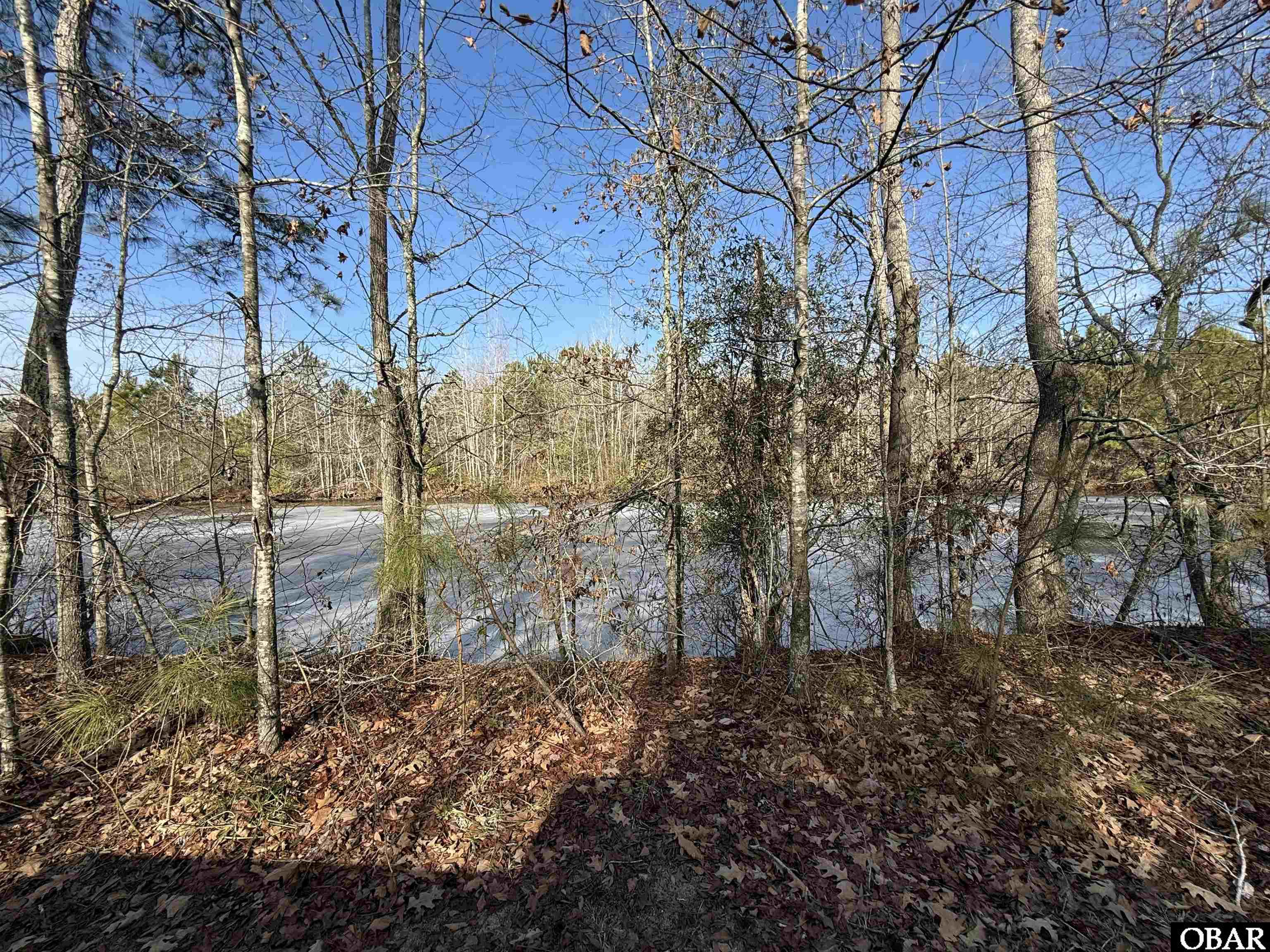 0 Mallard Drive Roper, NC 27970 - Photo 3 of 4