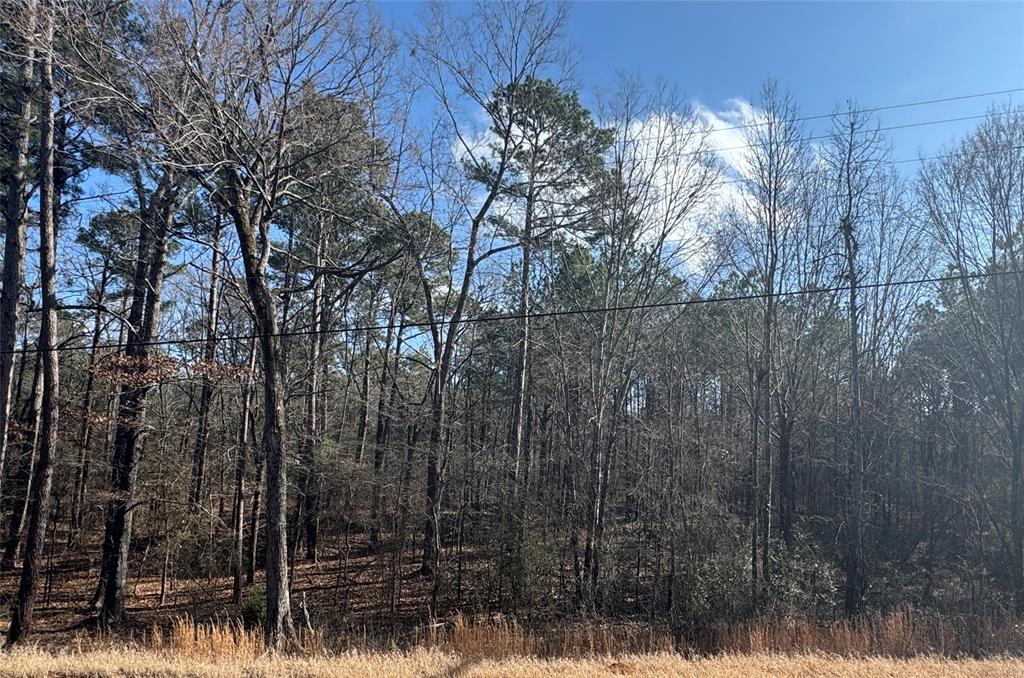 0 Jefferson Paige Road Shreveport, LA 71119 - Photo 2 of 3 a view of a forest