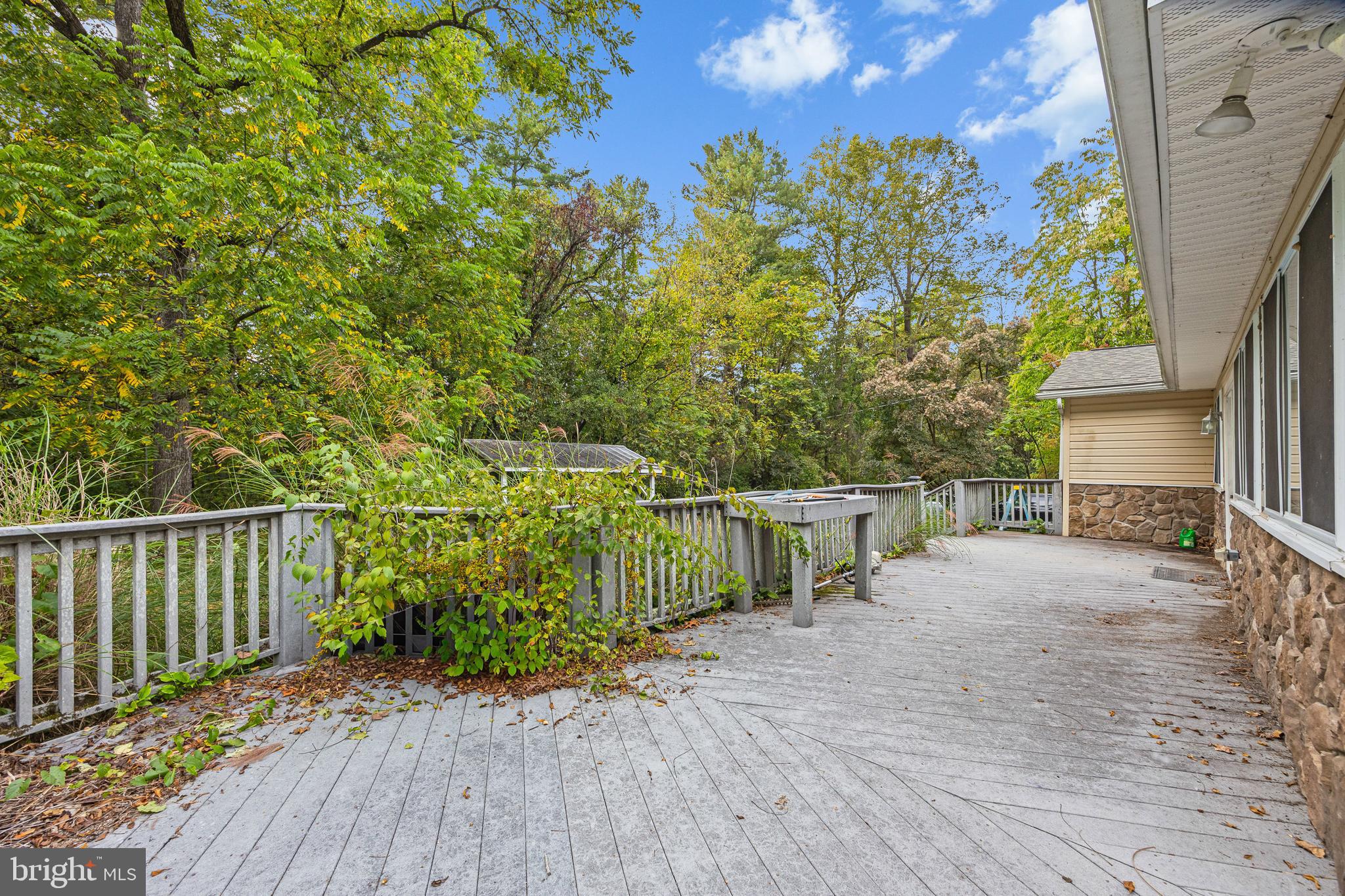 361 Printz Mill Road Luray, VA 22835 - Photo 54 of 77 Gallery Image 54