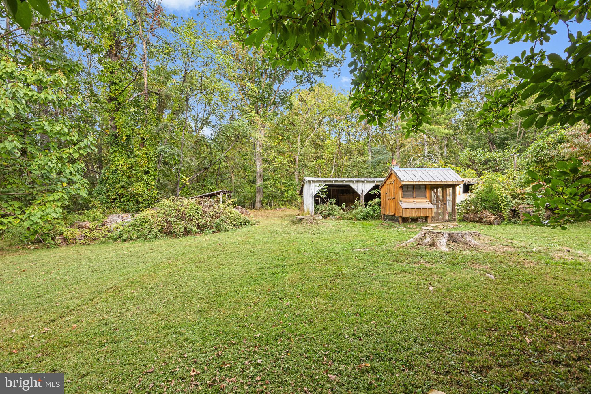 361 Printz Mill Road Luray, VA 22835 - Photo 63 of 77 Gallery Image 63