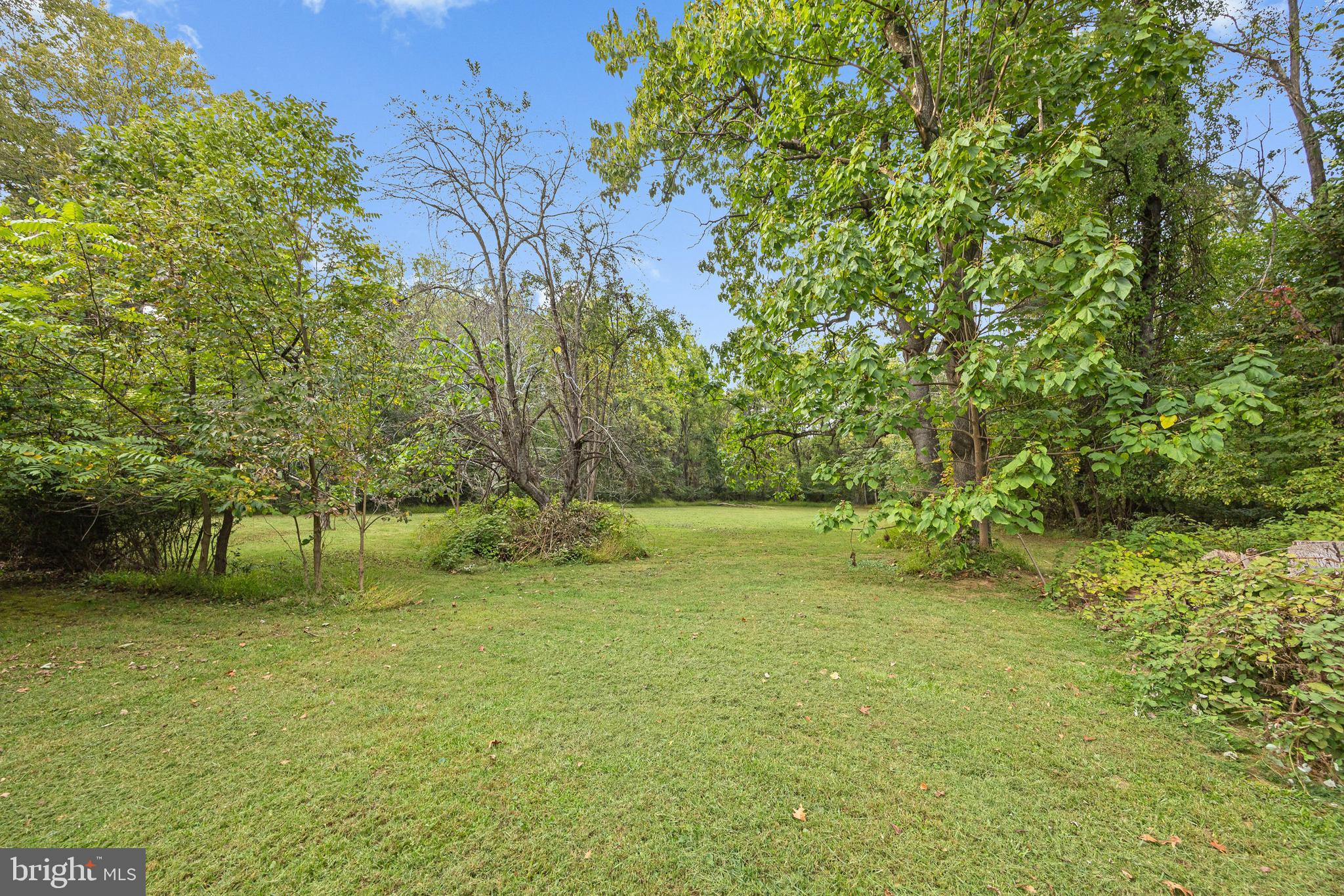 361 Printz Mill Road Luray, VA 22835 - Photo 64 of 77 Gallery Image 64