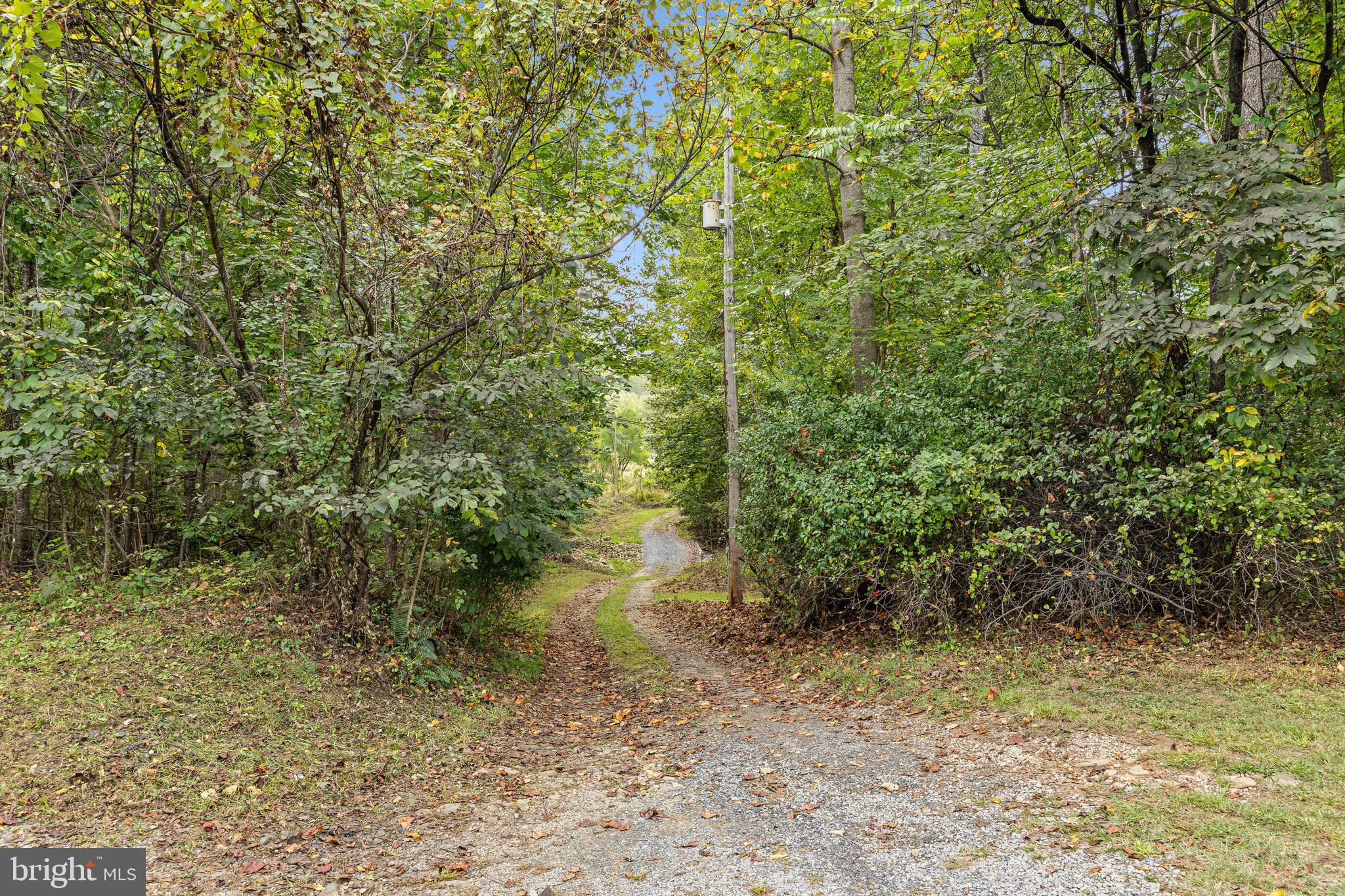 361 Printz Mill Road Luray, VA 22835 - Photo 65 of 77 Gallery Image 65