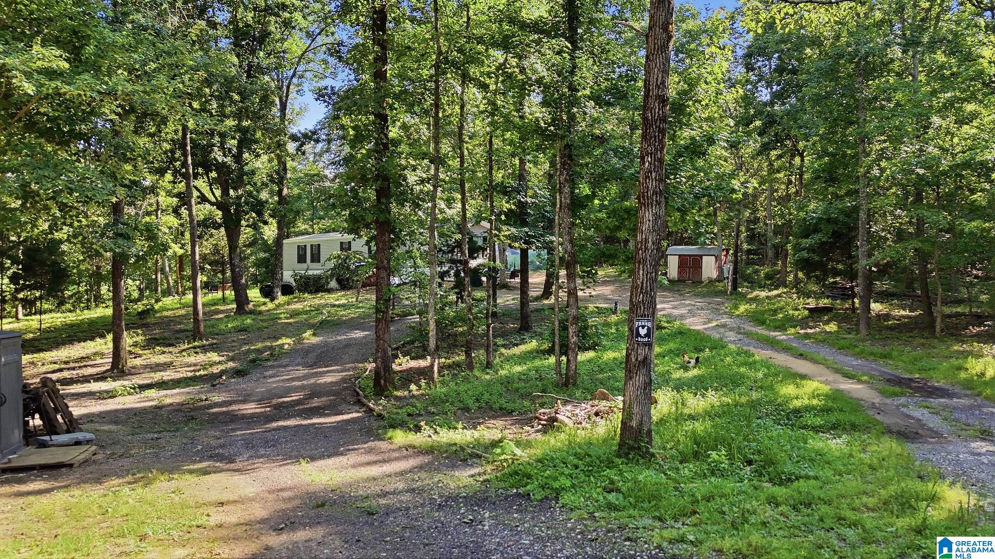 406 Homestead Lane Remlap, AL 35133 - Photo 31 of 44
