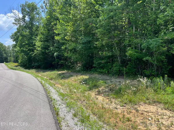 $52,850 | Lot 202 Elzies Way, Grimsley, TN 38565