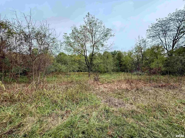 $35,000 | Tbd Brock Lane, Murphysboro, IL 62966