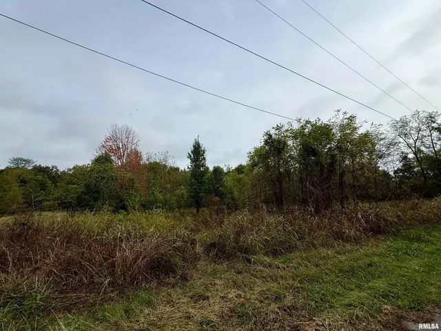 $35,000 | Tbd Brock Lane, Murphysboro, IL 62966