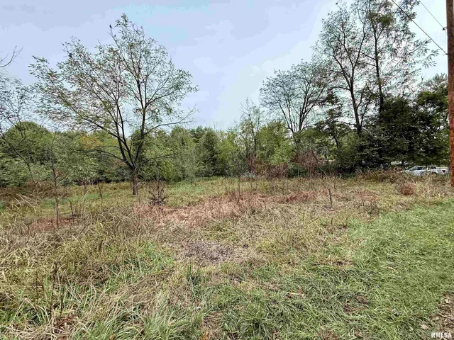 $35,000 | Tbd Brock Lane, Murphysboro, IL 62966