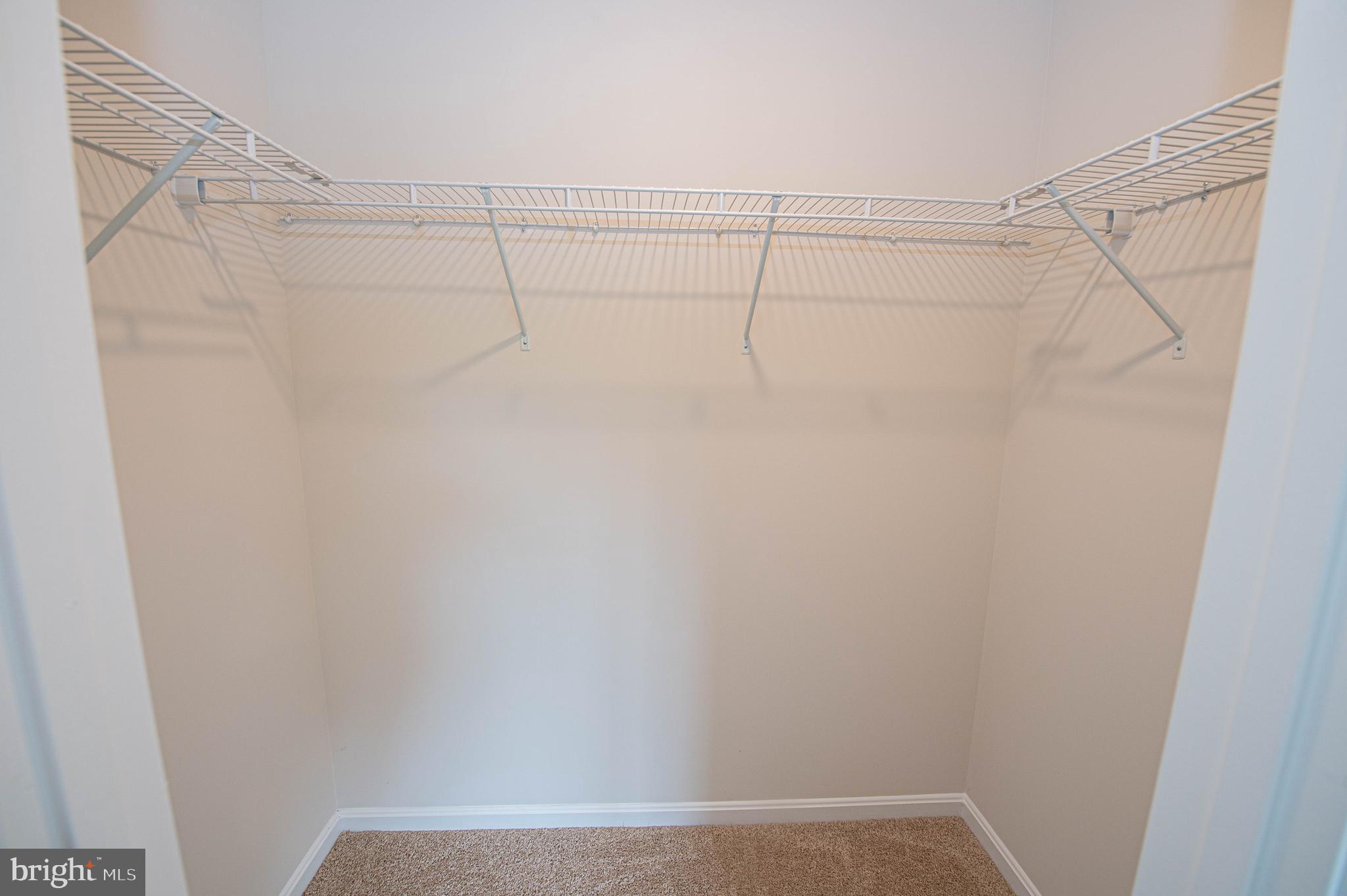 126 Willowtree Lane Fruitland, MD 21826 - Photo 52 of 68 a view of a room with racks on the wall