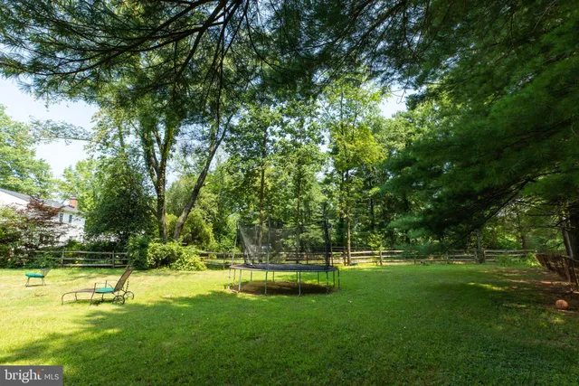 a view of a park with large trees