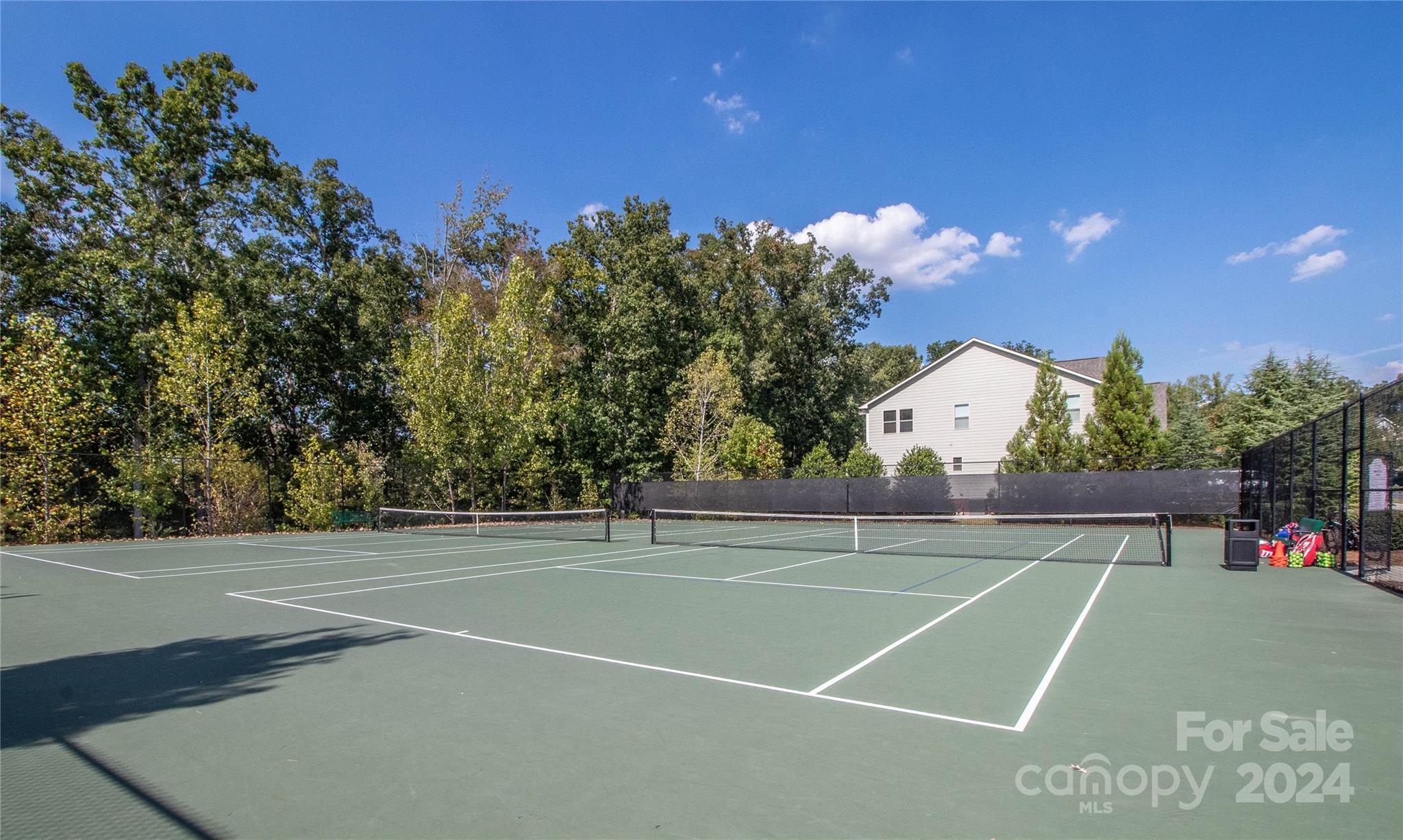 1830 Larkspur Way Tega Cay, SC 29708 - Photo 46 of 48 Gallery Image 46