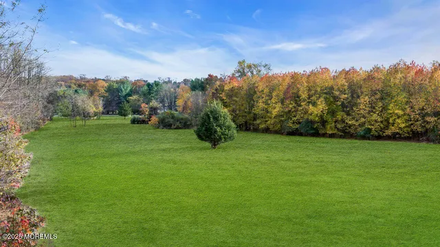a view of a yard with a large trees