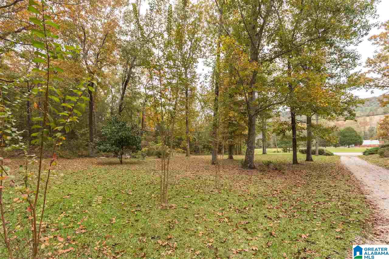 17935 Highway 75 Remlap, AL 35133 - Photo 30 of 30